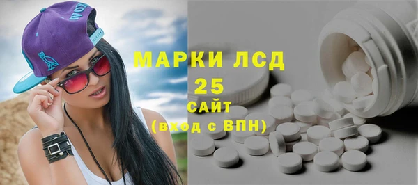 сатива Аркадак