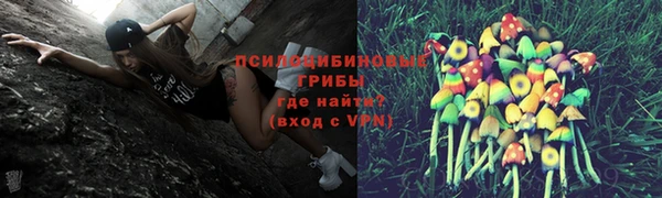 сатива Аркадак