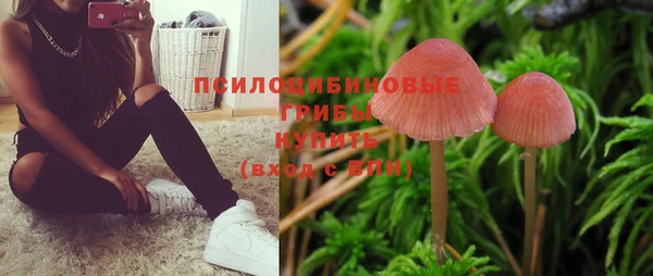 амф Арсеньев