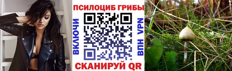 Галлюциногенные грибы ЛСД  купить наркотик  Сосногорск 